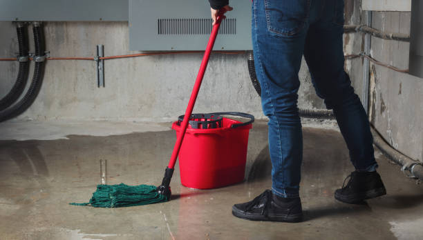 Best Flood restoration services  in Beach Haven, NJ