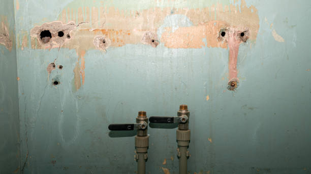 Best Basement water damage restoration  in Beach Haven, NJ
