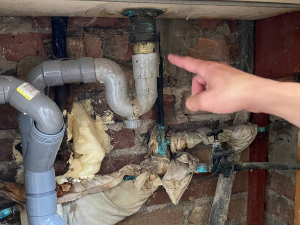 Best Water damage cleanup near me  in Beach Haven, NJ