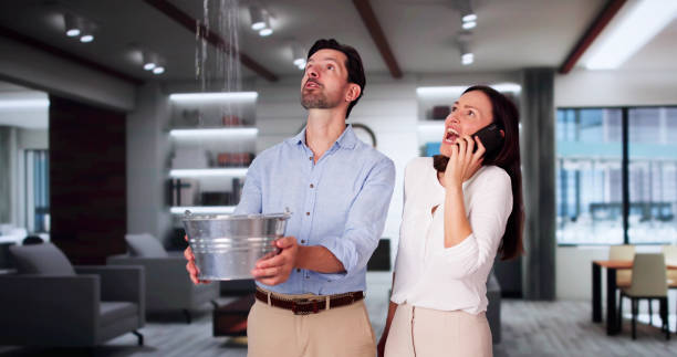 Best Flooded house restoration  in Beach Haven, NJ